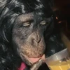 🦧Monkeys🦍Monos🐒Changos 10