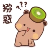 Bubuyier 29