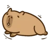 (⁠ᵔ⁠ᴥ⁠ᵔ⁠) Capibara Animado 🦫 14