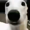 🎵 TIKTOKeando 15🎵 23