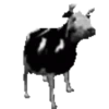 Random del TikTok 🤣 7