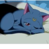 Cat anime 26