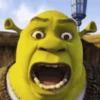 Shrek Animado 💚 15