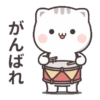 Kucing gemoyy 12
