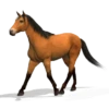 Spinning horse fat horse 🐴 7