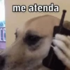 PARA PUXAR PAPO 10