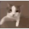 Shitpost Animado Brasil 🇧🇷 2