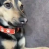 Dame un Grrr / Tiktok 😡🤬🤣 9