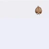 Spinning horse fat horse 🐴 11