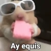 🐹Hamsters🐹 6