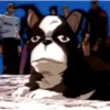 Jojo 6