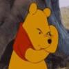 Winnie Pooh 14