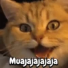 Muajajajajaja