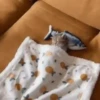 Reações de gatíneos 🐈🐈‍⬛ 16