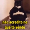 não acredito no que tô vendo