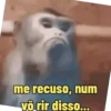 "Macaquin" boladão kkk 10