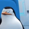 Madagascar GIFs 10