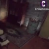 ShitGifs 8