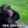 🐒•Moniiitos ⵌ5 10