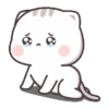 Kucing Gemoy 18