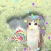᱙᱙   ˳   Meowl   ׅ   𐀴᷼𐀴 20