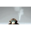 Macaco fumando 13