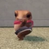 🧿Rana que Baila 🐸 9