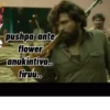 Telugu 5