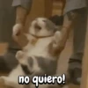 no quiero!