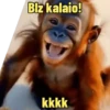 "Macaquin" boladão kkk 6