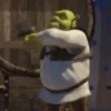 Shrek Animado 💚 7