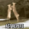 GIFs Pets Fofos Memes 2 🐾 6