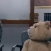 Urso Ted animadas  13