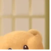 ❤️ Osito cute /tierno 🧸 9