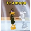 Patolino sincero  6