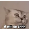 A miii no ehhh