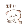 Dudu bubu 20
