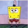 Bob 15