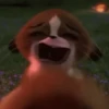 Madagascar GIFs 13