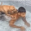 GIFs de Cachorros Reações 🐶 5