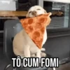 GIFs Pets Fofos Memes 🐾 22