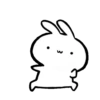 Tantrum Rabbit 16