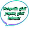 Kurtlar vadisi 25