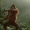 Funny Animals 15