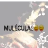 MULÉCULAS→→