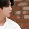 HAN JISUNG 🦋 STRAY KIDS 17
