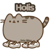 Holis Harley Stickers
