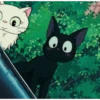 Cat anime 20