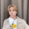 Stray Kids coquette by:hana 6