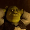 Shrek Animado 💚 8
